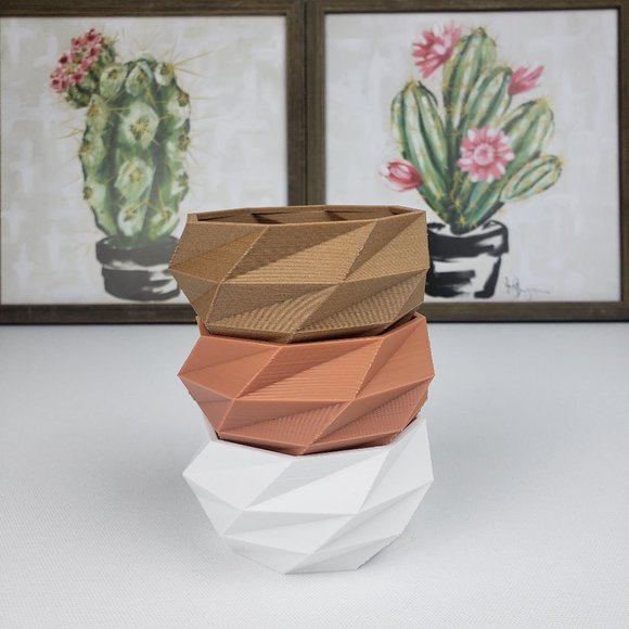 3D print Other - Set of 3 - 3D printed Cactus Succulent Pot planter
